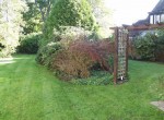 Garden-1