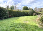 IMG_4282