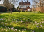 garden-shot